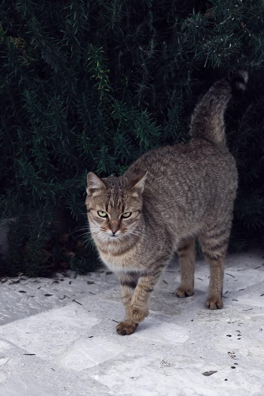 Cancellation and Refunds