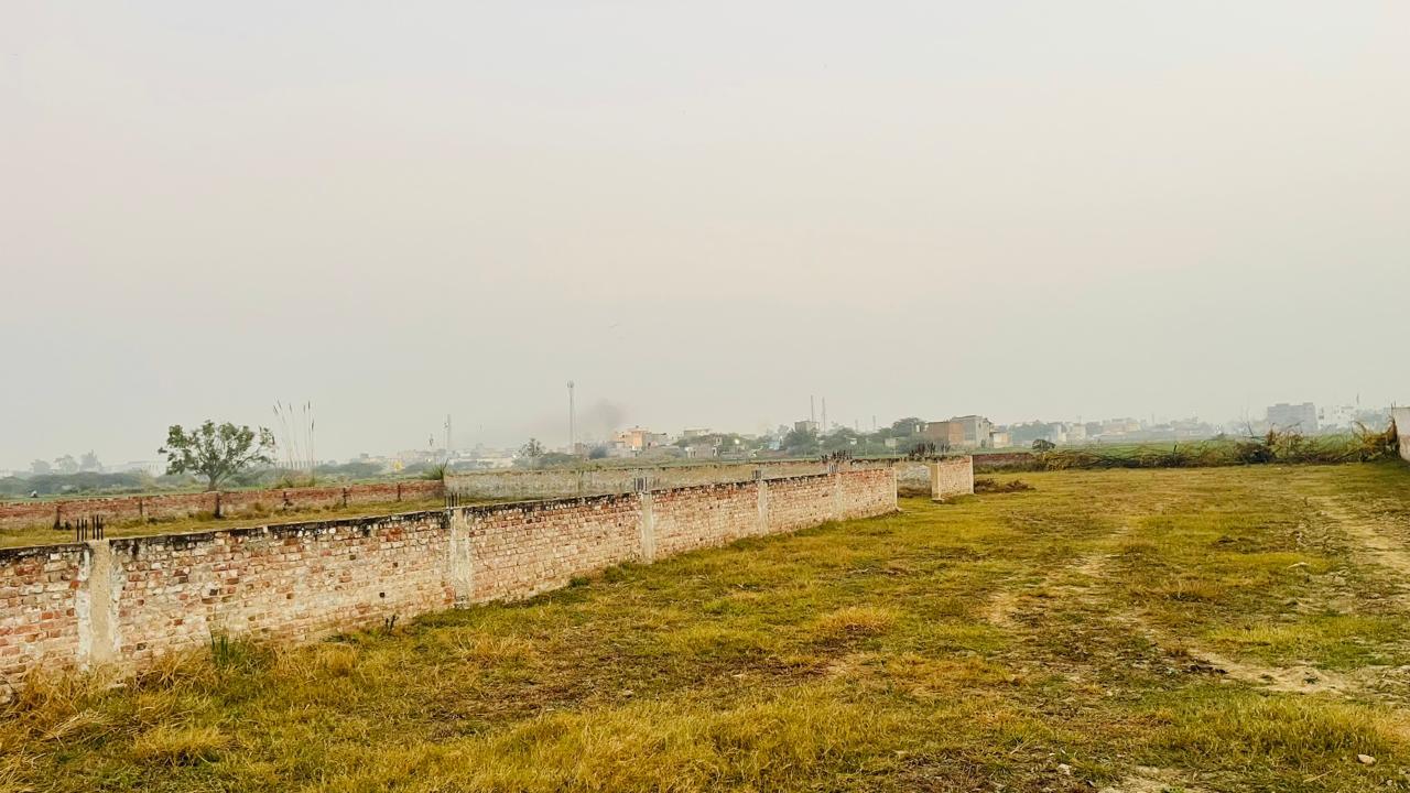 Build a Safe Haven: Support Our Animal Shelter Project